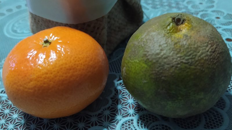 Belajar dari Dua Buah Jeruk, Lokal dan Impor