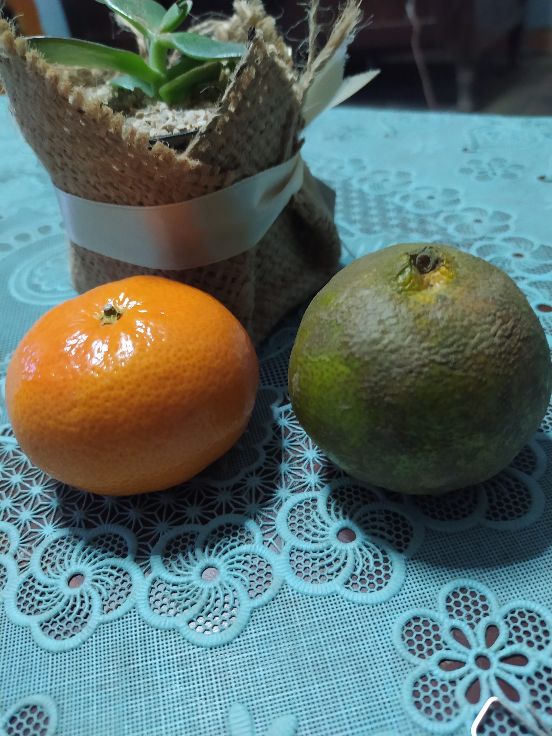 Belajar dari Dua Buah Jeruk, Lokal dan Impor