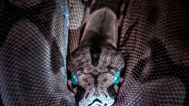 PENGALAMAN DARI STASI KE STASI YANG BERKESAN -2 DAN PERJALANAN NON PASTORAL