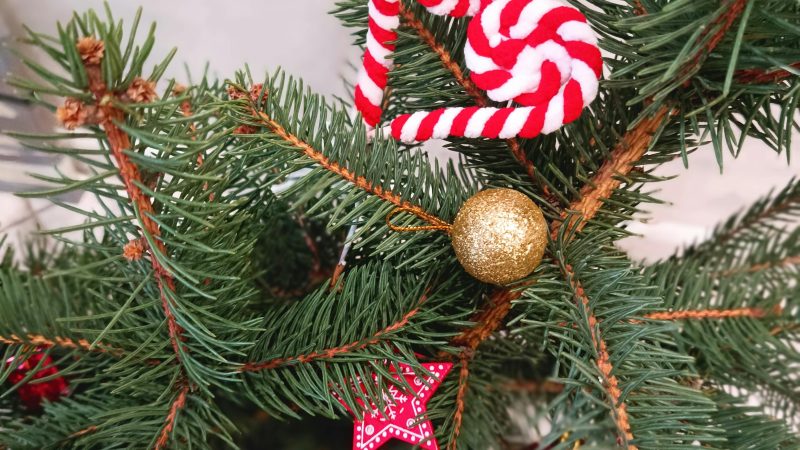 Natal: Antara Konstitusi dan Kompromi Politik