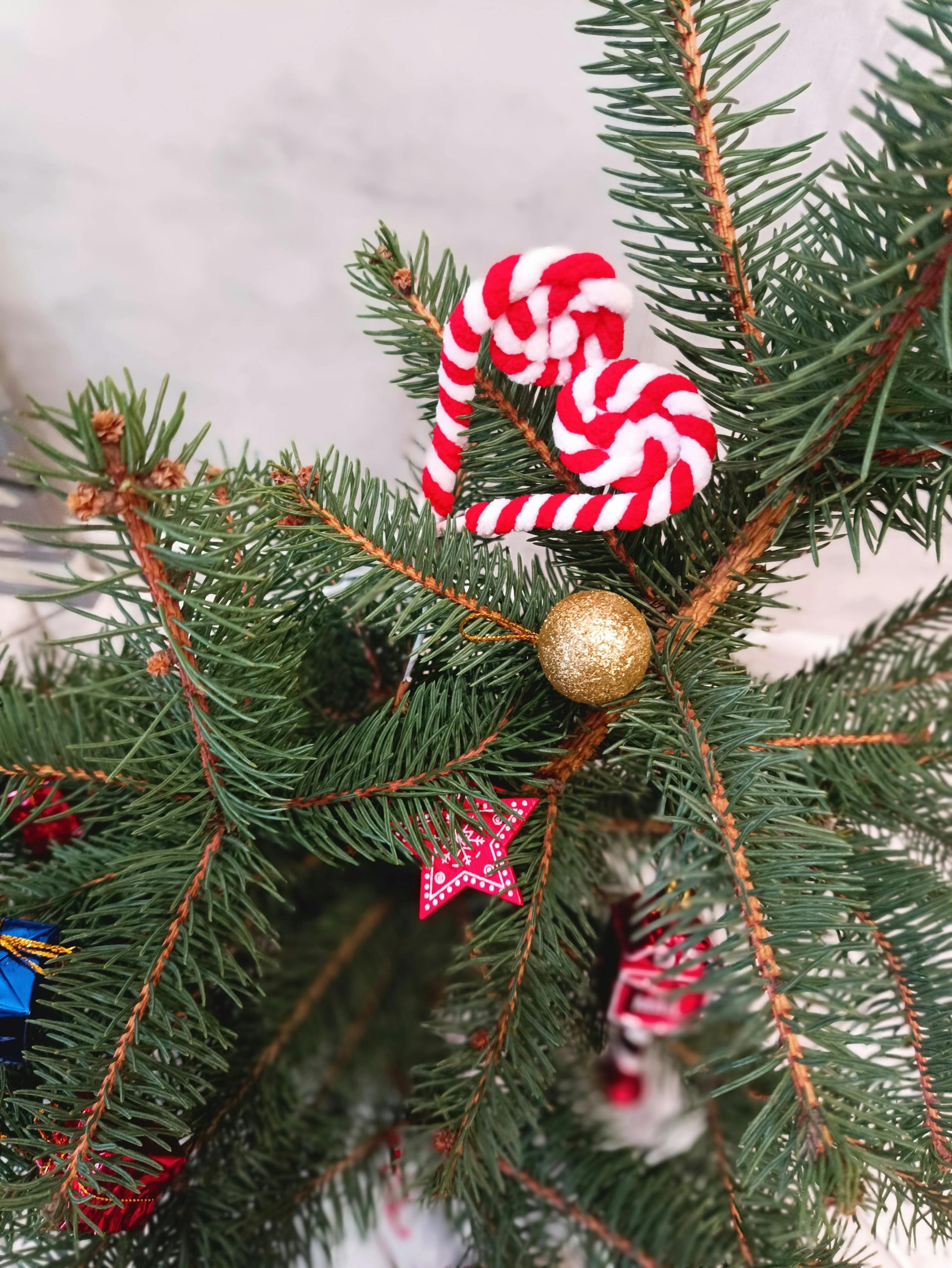 Natal: Antara Konstitusi dan Kompromi Politik